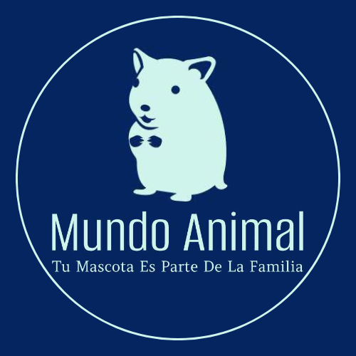mundoanimal.pages.dev favicon